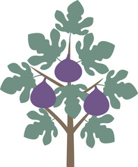 Fig tree logo. Isolated fig tree on white background