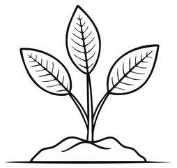 Obraz premium Fresh Sprout Seedling with Three Leaves in the Ground Depicted in Black and White Line Art