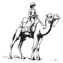 person riding a camel