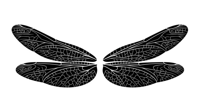 Black dragonfly wings spread wide apart.