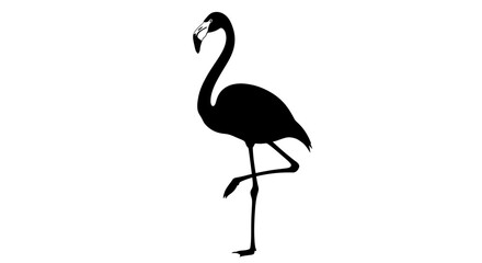 Black silhouette of a flamingo standing. © LAILATUS