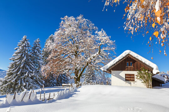 Alpe - Chalet - Winter - Allg&auml;u - H&uuml;tte - Alm - Baum - Alpen