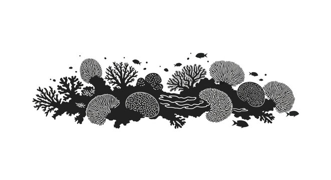 Black and White Mushroom Fungi Illustration.