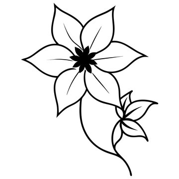 Bold Aspiration - Jackmanii Clematis Climbing Vine Vector Art