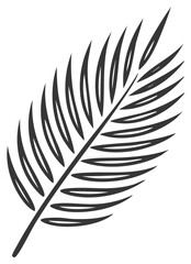 Fototapeta premium Minimalist Black Palm Leaf Illustration for Tropical Summer Design Element