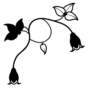 Purple Cobaea Scandens Climbing Vine Botanical Illustration