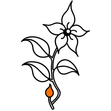 Combretum Fruticosum Orange Flame Vine Climbing Plant Art