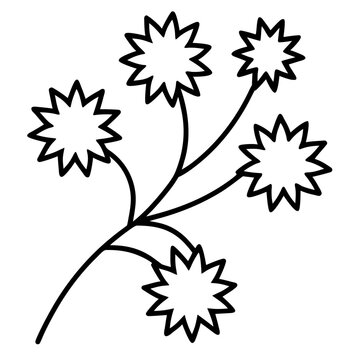 Combretum Constrictum Firecracker Vine Climbing Plant Art