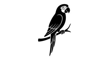 Obraz premium Black and white parrot sitting on branch.