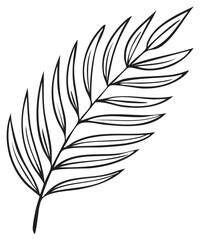 Obraz premium Delicate Outline of a Single Palm Frond for Tropical Decor and Design Elements