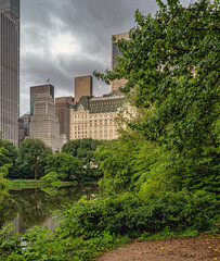 Central Park summer, Early morning
