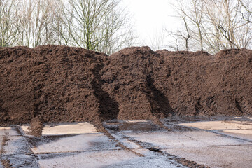 Fresh manure on the manure pile