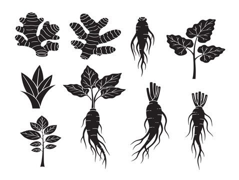 Wild root silhouettes organic botanical vector pack