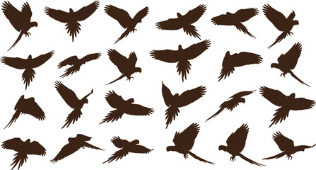 Collection of flying parrot silhouettes isolated on white background, tropical bird set in various wing positions, exotic macaw outline illustration for design, logo, and decoration © Motahar