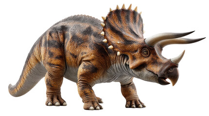 Fototapeta premium Triceratops in Detailed View: A realistic depiction of the mighty triceratops, with its iconic frill, sharp horns, and textured skin, embodies the prehistoric era.