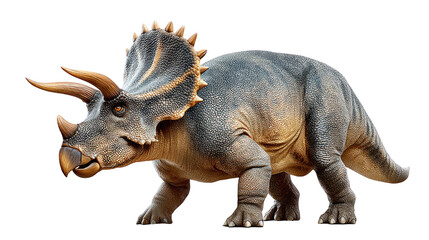 Fototapeta premium Prehistoric Triceratops: A detailed depiction of a Triceratops, showcasing its formidable frill and horns, a majestic symbol of the prehistoric era.