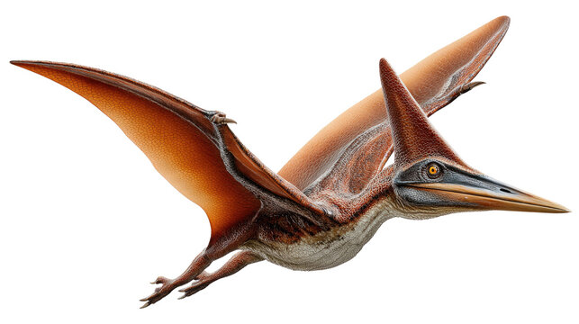 Pterodactyl in Flight: A majestic pterodactyl soars through the sky, showcasing its impressive wingspan and ancient grace. A captivating depiction of a prehistoric creature in flight.