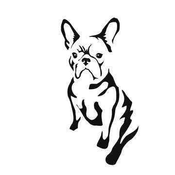 Vector drawing of a dog. Black and white gestalt design of a funny pet. Little doggy. Cute animal illustration. Postcard for International Dog Day. Drawing of an animal in the Gestalt style.