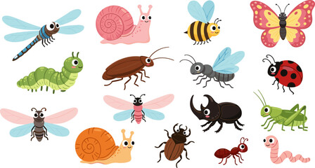 Cute cartoon insect collection, colorful garden bugs including butterfly bee snail ladybug isolated on white background for kids educational illustration design © Mst