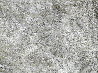 Obraz premium The old, dirty cement wall surface is painted gray.