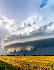 Sweeping storm clouds roll over a golden field, promising rain and casting deep shadows