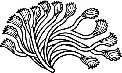 Obraz premium stylized black and white seaweed illustration with flowing curved fronds and delicate tips