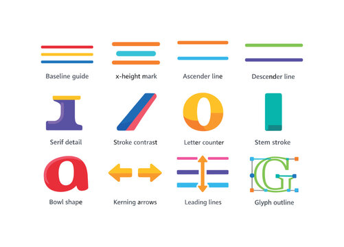 Typographic anatomy. Colorful flat vector icons set of typographic anatomy: baseline guide, x-height mark, ascender line, descender line,