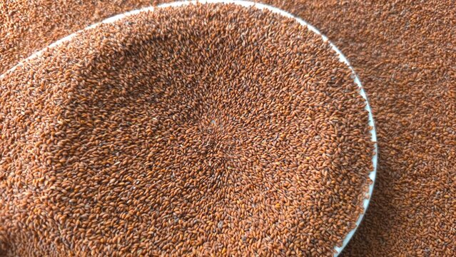 Garden Cress Seeds Halim Seeds Aliv Chandrashoor in Bowl