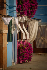 Wiszące pranie wśród kwiatów na kolorowej włoskiej wyspie Burano © Madeo99