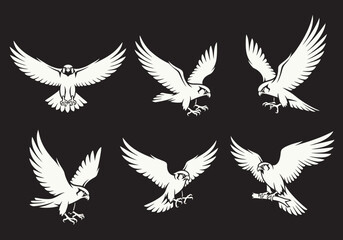 Obraz premium Collection of Six White Eagle Silhouettes in Flight on Black Background.