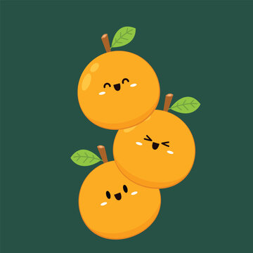 Mandarin orange character vector - illustration. Chinese New Year Mandarin Orange.