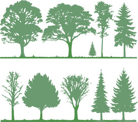 Obraz premium TREE VECTOR