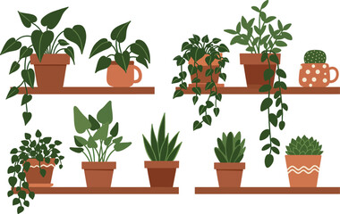 Fototapeta premium A set of fresh potted plants and flowers with green leaves and rosemary herbs grows in white flowerpots, isolated for home gardening and botany