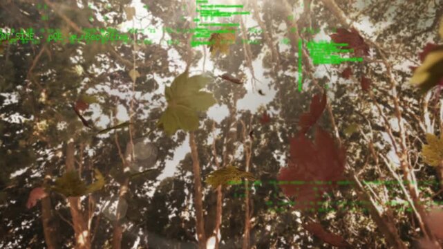 Animation of data processing and autumn leaves falling against low angle view of trees and sky