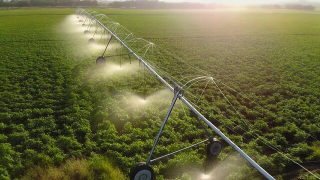 Center pivot irrigation system watering lush green crops in vast agricultural field