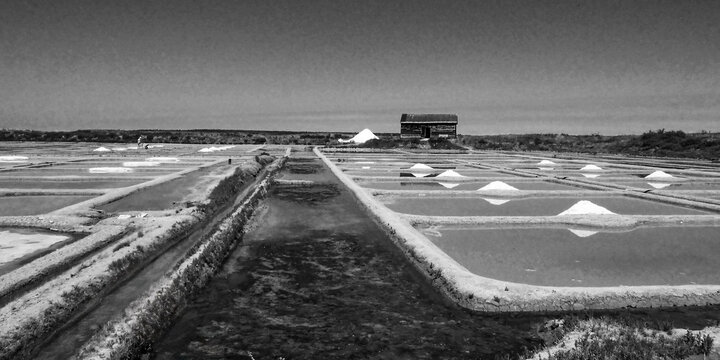 Salt marshes of Gu&eacute;rande in Black and White, France