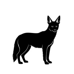Black Silhouette of a Standing Coyote.