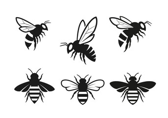 Set of Six Black and White Bee Illustrations.