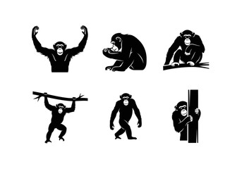 Set of Six Chimpanzee Silhouettes in Various Poses.
