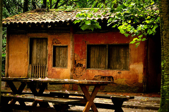 Casa de paredes de barro, telha de barro, portas e janelas de madeira cercada de &aacute;rvores e plantas. 