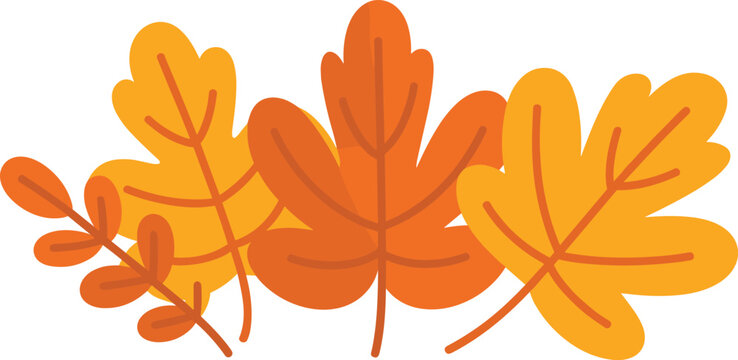 Autumn Fall Leaves Border with Maple and Oak Foliage for Seasonal Design, Thanksgiving Decoration, Warm Nature Flat Vector Illustration