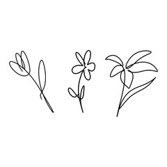 Minimalist Line Art Flowers - 3 Continuous Line Illustrations"
