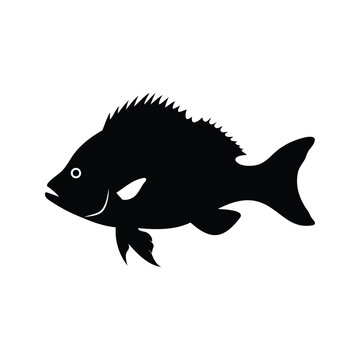 Black and white fish swimming in water with tail fin silhouette vector illustration, snapper silhouette vector illustration
