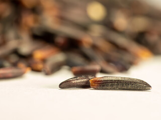 Fototapeta premium Close Up of Black Rice Grains Against a White Background, Food Staple