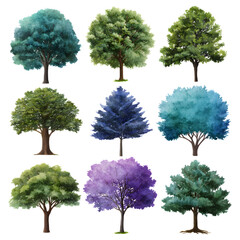 Fototapeta premium Collection of diverse colorful trees in various hues and foliage styles Transparent background PNG format for versatile design usage