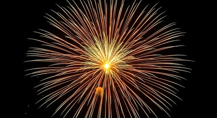 Obraz premium Vibrant firework exploding in the dark night sky with bright lights