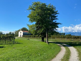 San Vito al Tagliamento - Chiesa di San Carlo Borromeo