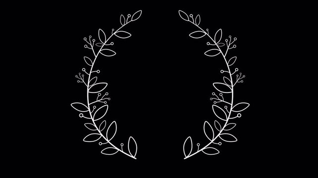 Elegant Hand-Drawn Laurel Wreath Animation on Black Background, Perfect for Awards and Achievements.