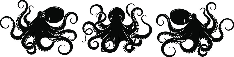 Three black octopus silhouettes with detailed tentacles isolated on white background, marine sea life illustration, nautical tattoo style design for print and decor © MdHarunur