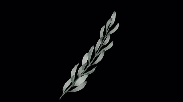 Elegant Silver Leaf Branch on Black Background.